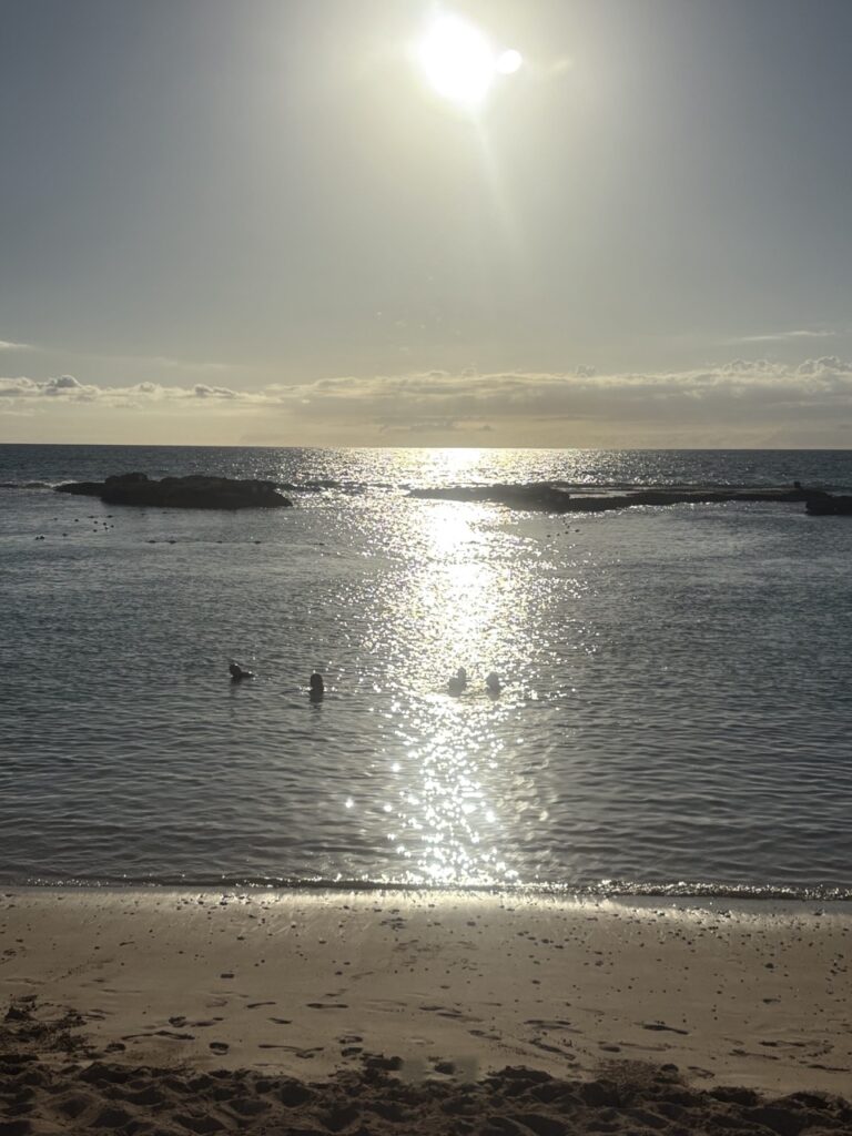 img 8803 크게