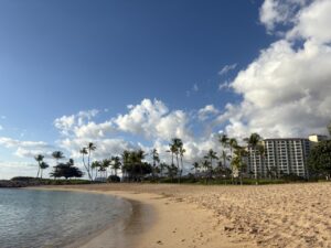 img 8808 크게