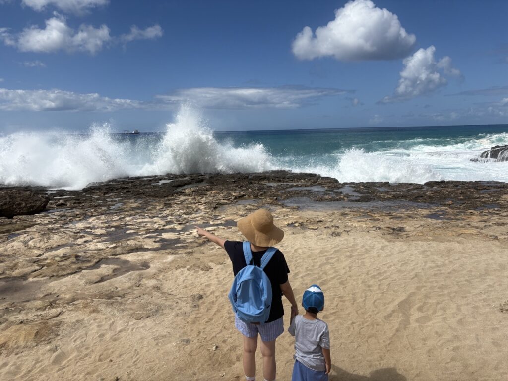 img 9104 크게