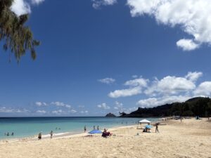 img 9411 크게